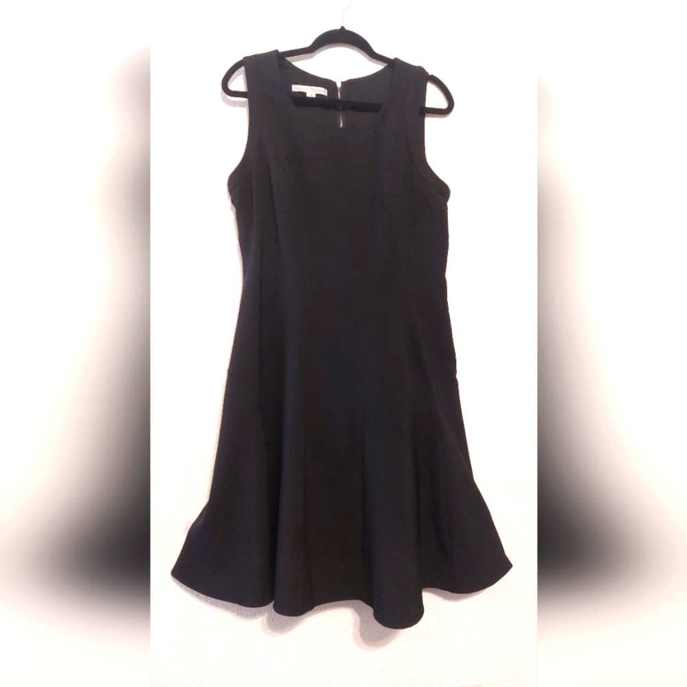 A Maggy London little black dress with a bit flair.  size 14